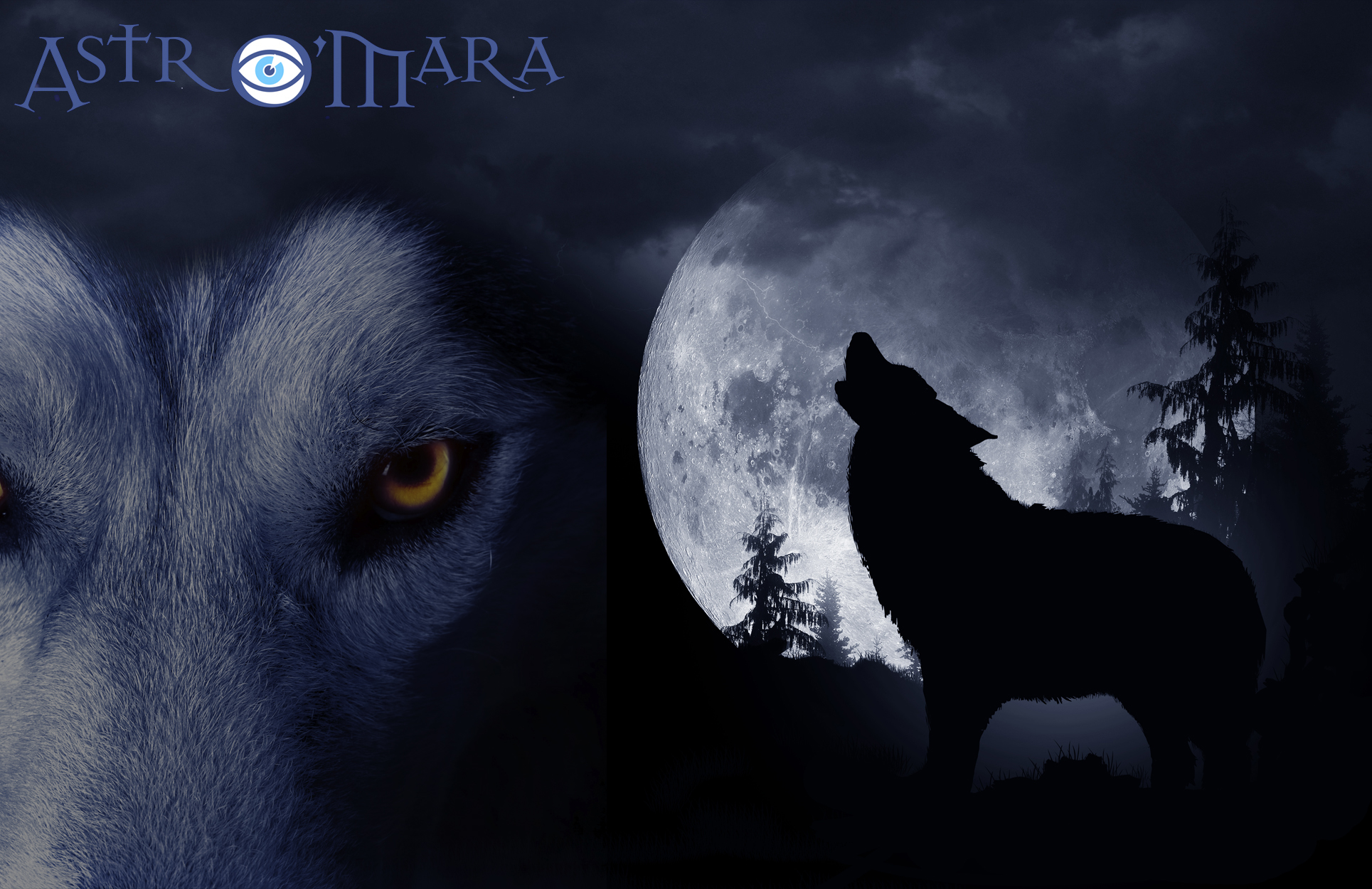 January Full Moon - The Wolf Moon